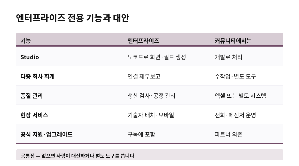 엔터프라이즈 전용 기능과 대안